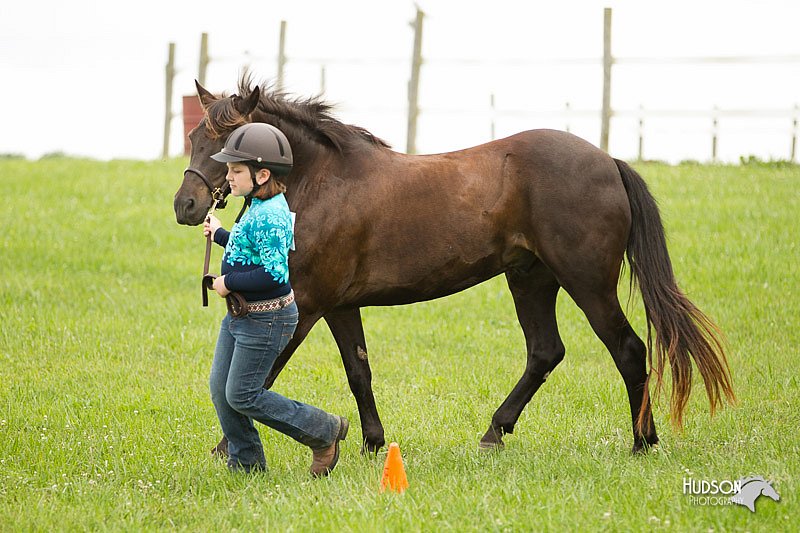 4H-1st-Show-11_0056.jpg
