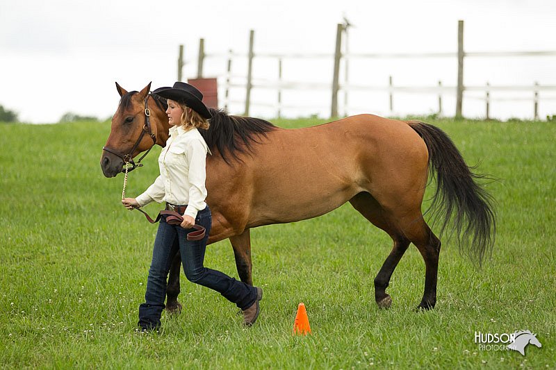 4H-1st-Show-11_0059.jpg