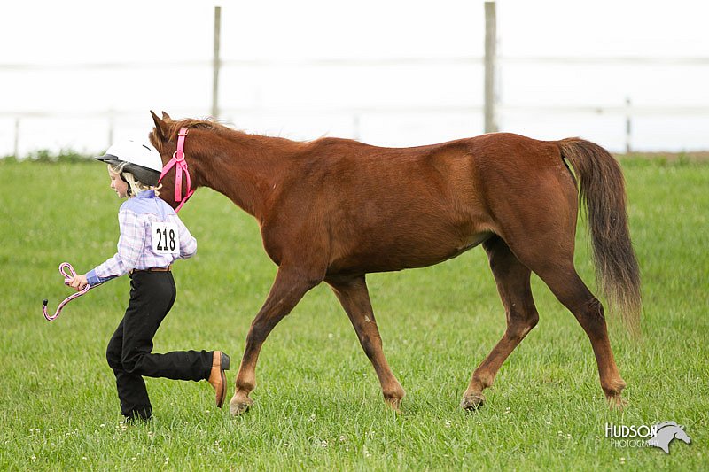 4H-1st-Show-11_0068.jpg