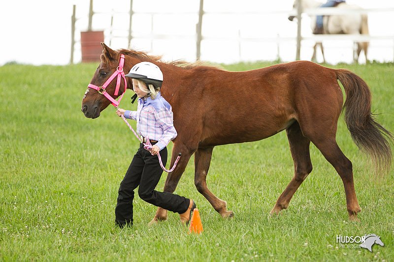 4H-1st-Show-11_0069.jpg