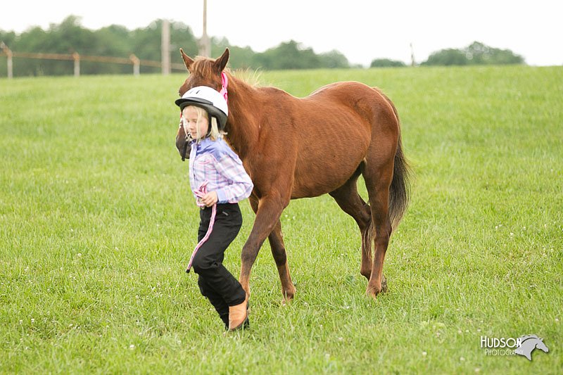 4H-1st-Show-11_0071.jpg