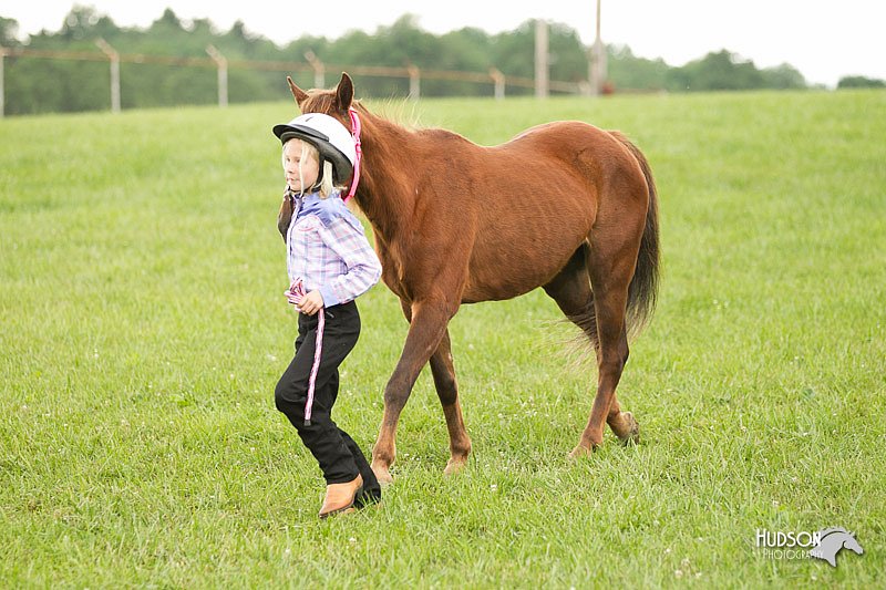 4H-1st-Show-11_0072.jpg