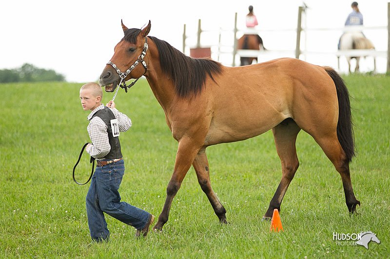 4H-1st-Show-11_0078.jpg