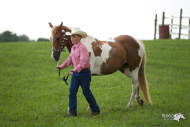 4H-1st-Show-11_0086.jpg