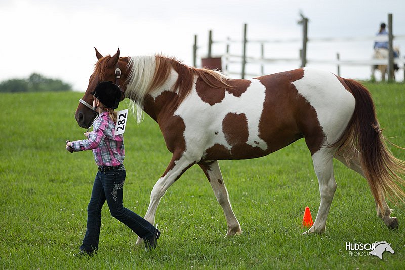 4H-1st-Show-11_0089.jpg