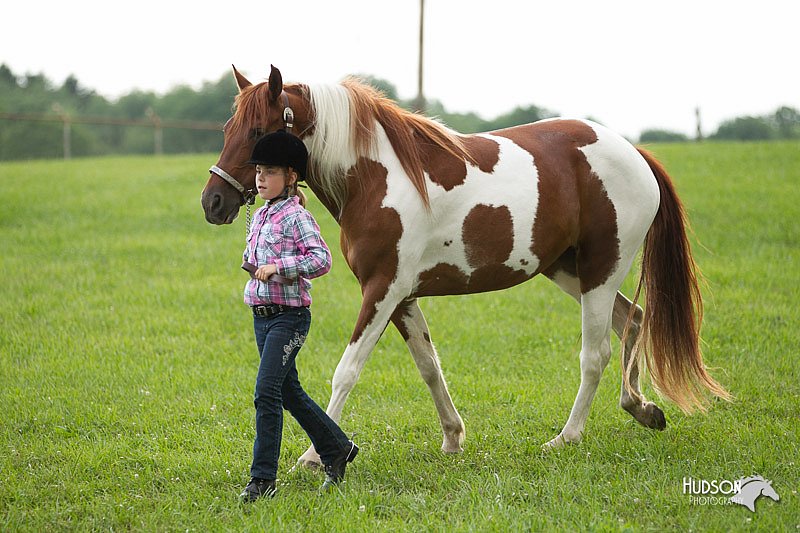 4H-1st-Show-11_0090.jpg