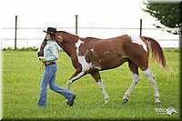 4H-1st-Show-11_0016.jpg