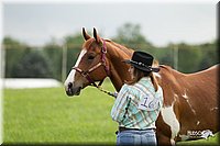 4H-1st-Show-11_0018.jpg