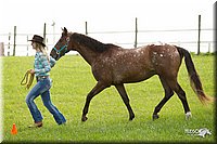 4H-1st-Show-11_0027.jpg