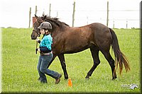 4H-1st-Show-11_0056.jpg