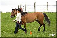 4H-1st-Show-11_0059.jpg