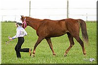 4H-1st-Show-11_0068.jpg