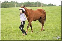 4H-1st-Show-11_0072.jpg