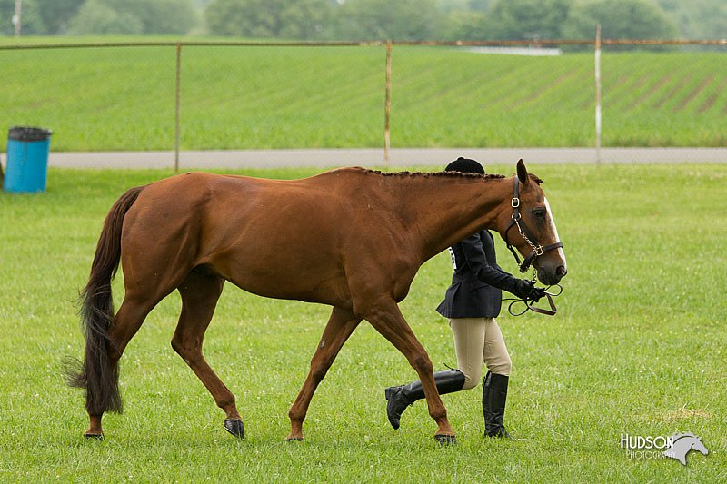 4H-1st-Show-11_0691.jpg