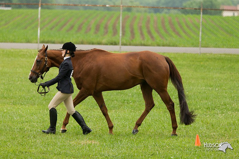 4H-1st-Show-11_0693.jpg