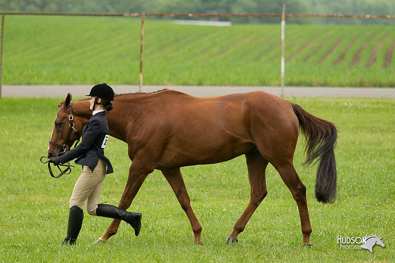 4H-1st-Show-11_0694.jpg