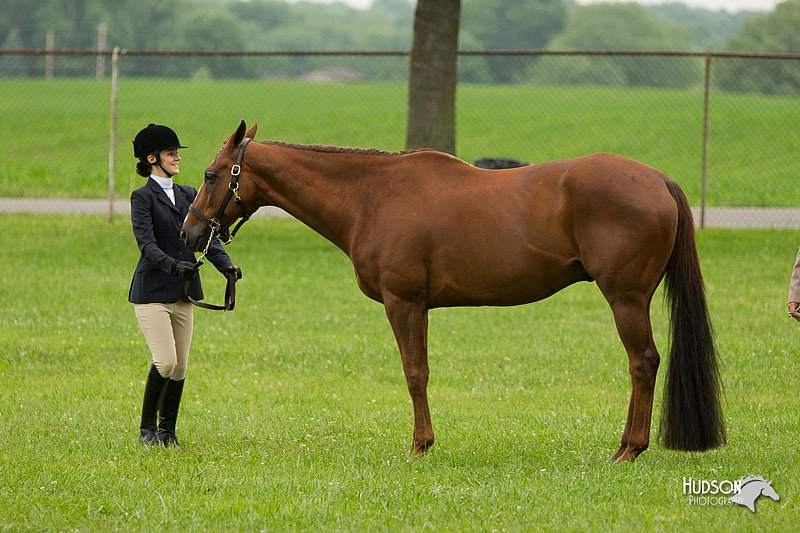 4H-1st-Show-11_0697.jpg