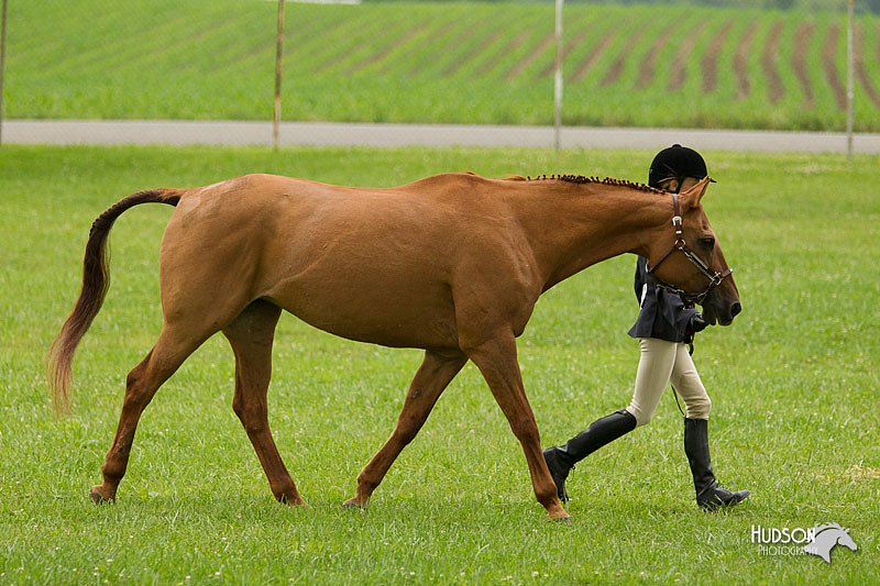 4H-1st-Show-11_0698.jpg