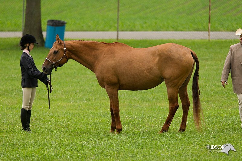 4H-1st-Show-11_0701.jpg