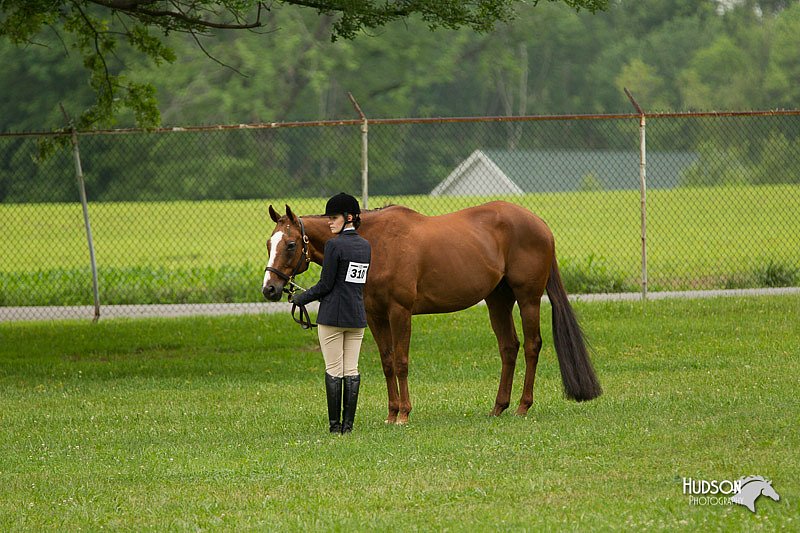 4H-1st-Show-11_0702.jpg