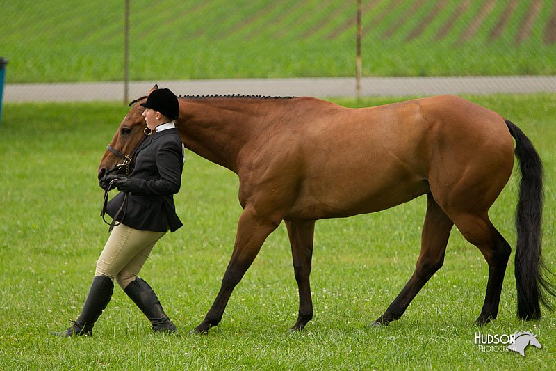 4H-1st-Show-11_0705.jpg