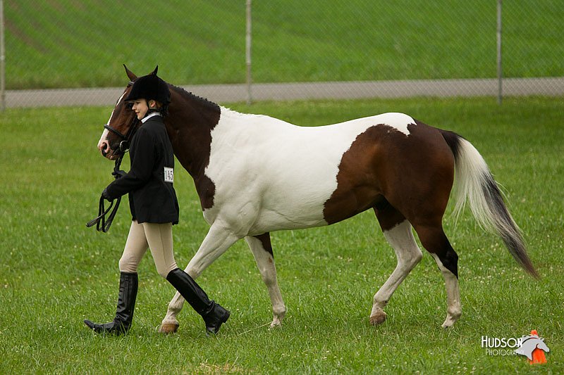 4H-1st-Show-11_0707.jpg