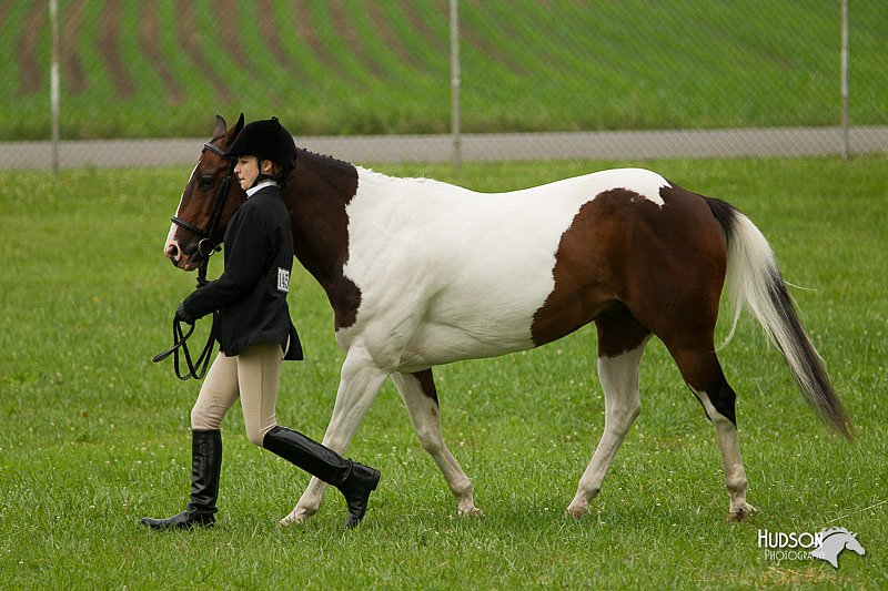 4H-1st-Show-11_0708.jpg
