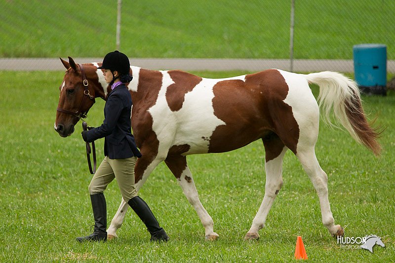 4H-1st-Show-11_0711.jpg