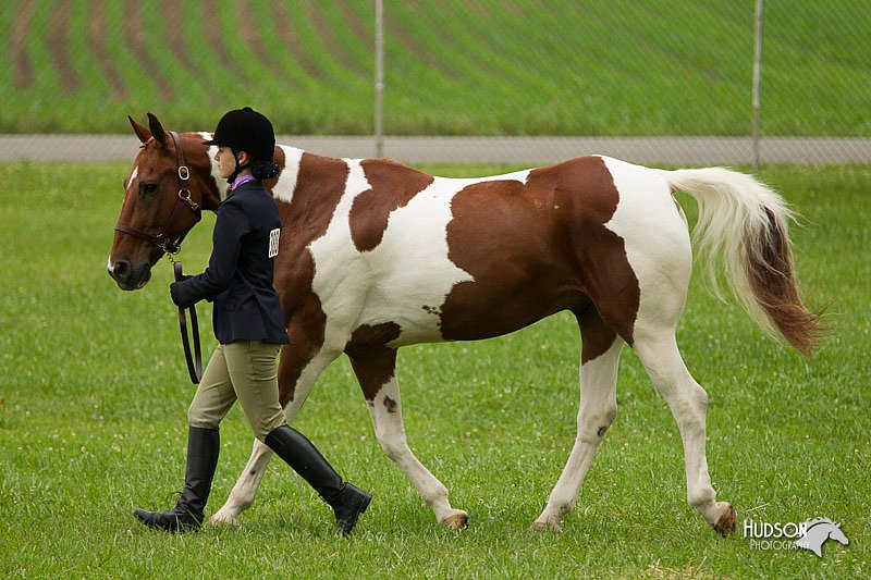 4H-1st-Show-11_0712.jpg
