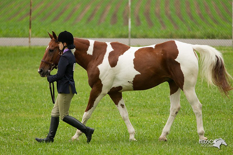 4H-1st-Show-11_0713.jpg