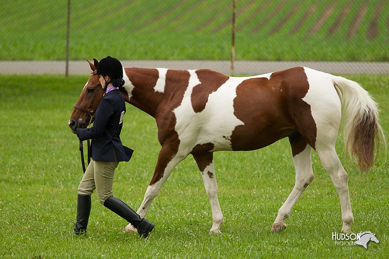 4H-1st-Show-11_0714.jpg