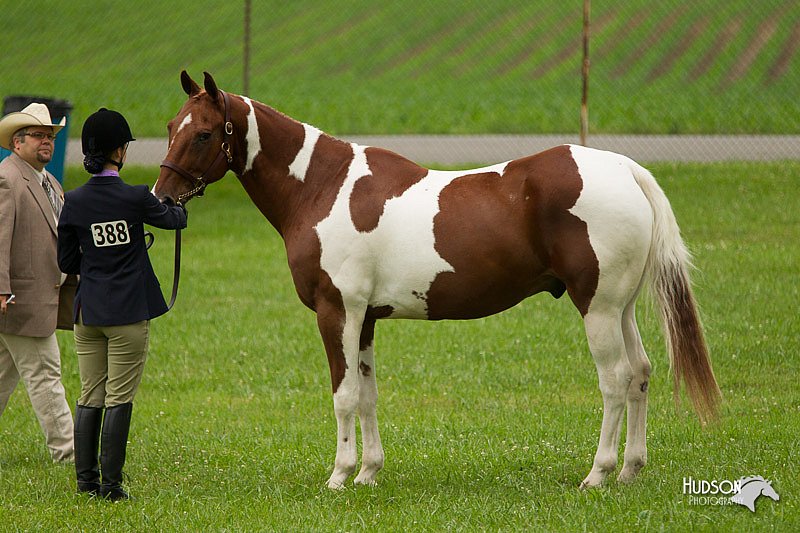 4H-1st-Show-11_0715.jpg