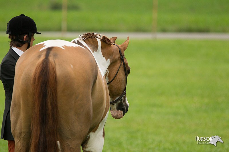 4H-1st-Show-11_0717.jpg
