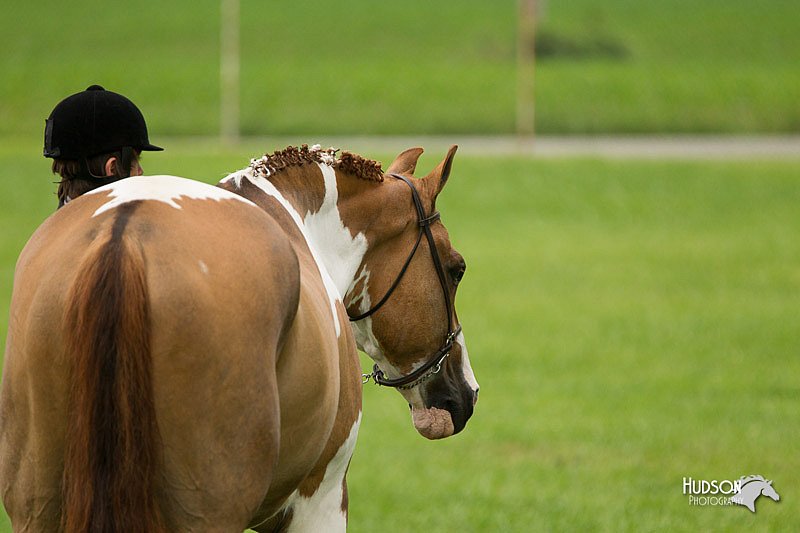 4H-1st-Show-11_0719.jpg