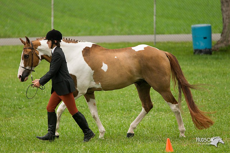 4H-1st-Show-11_0720.jpg