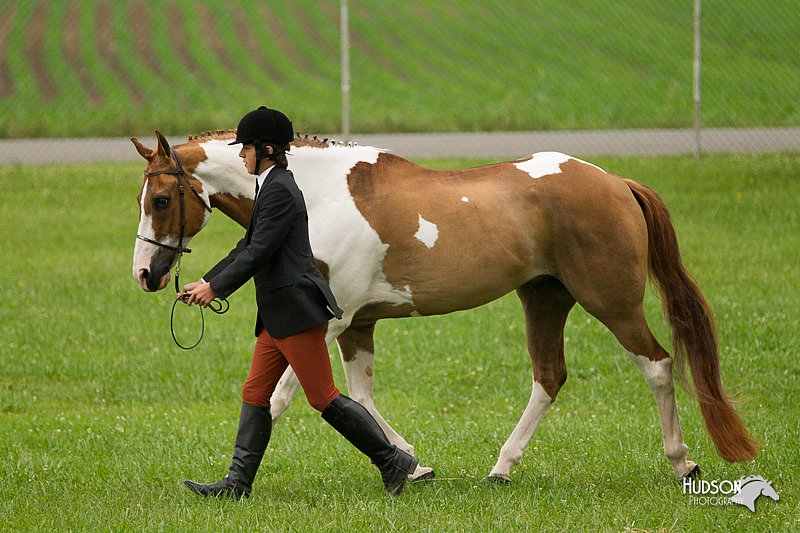 4H-1st-Show-11_0721.jpg