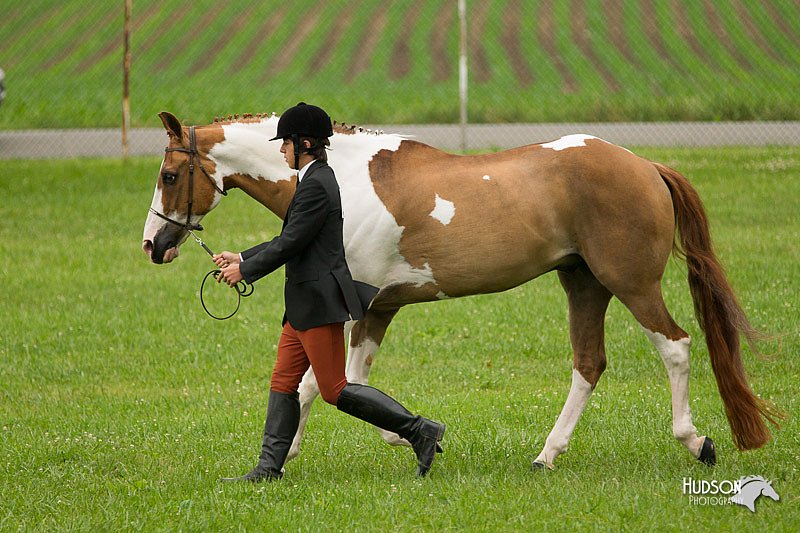 4H-1st-Show-11_0722.jpg