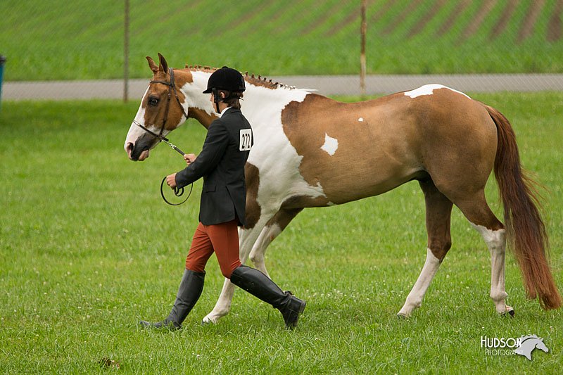 4H-1st-Show-11_0723.jpg