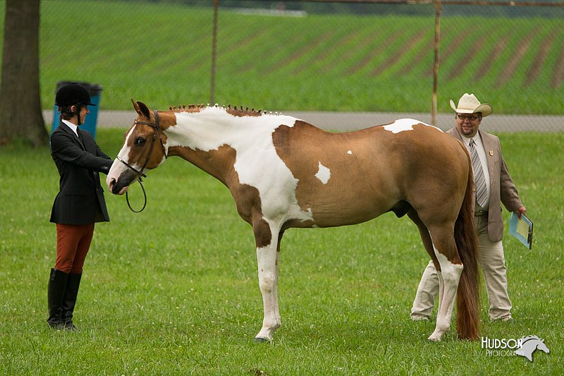 4H-1st-Show-11_0724.jpg