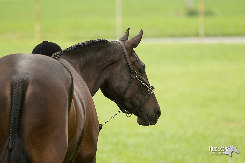 4H-1st-Show-11_0726.jpg