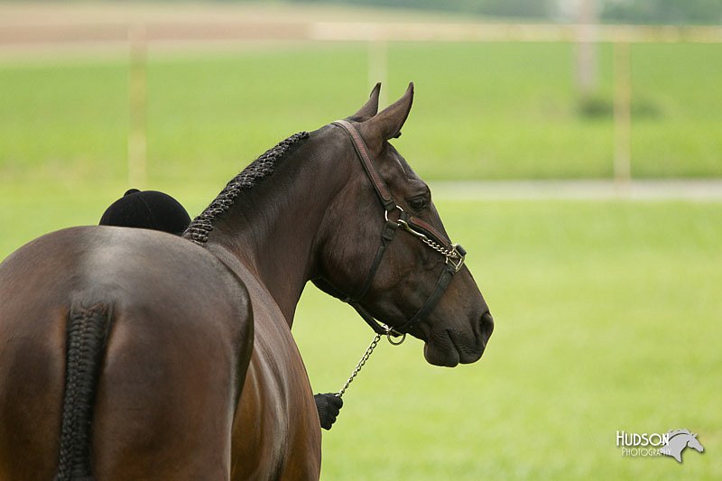 4H-1st-Show-11_0727.jpg