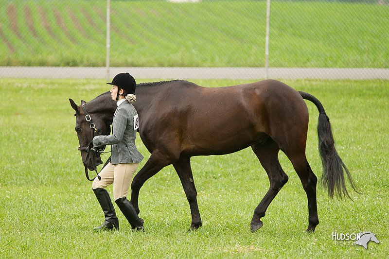 4H-1st-Show-11_0728.jpg