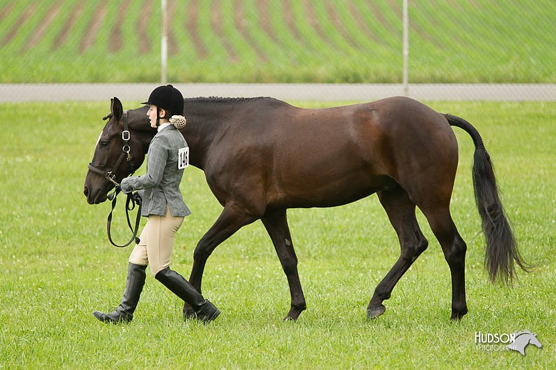 4H-1st-Show-11_0729.jpg