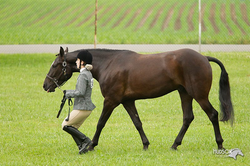 4H-1st-Show-11_0730.jpg