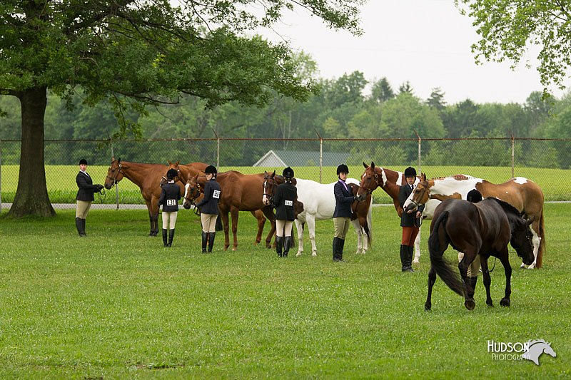 4H-1st-Show-11_0731.jpg