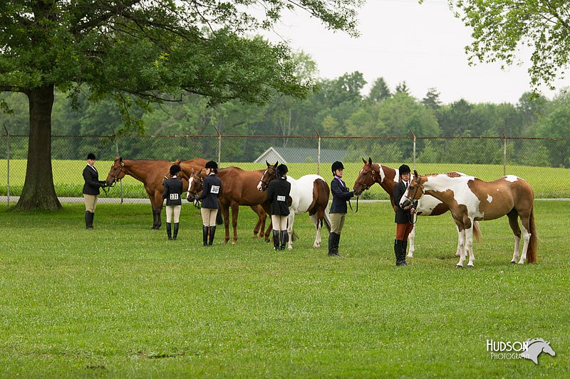 4H-1st-Show-11_0732.jpg