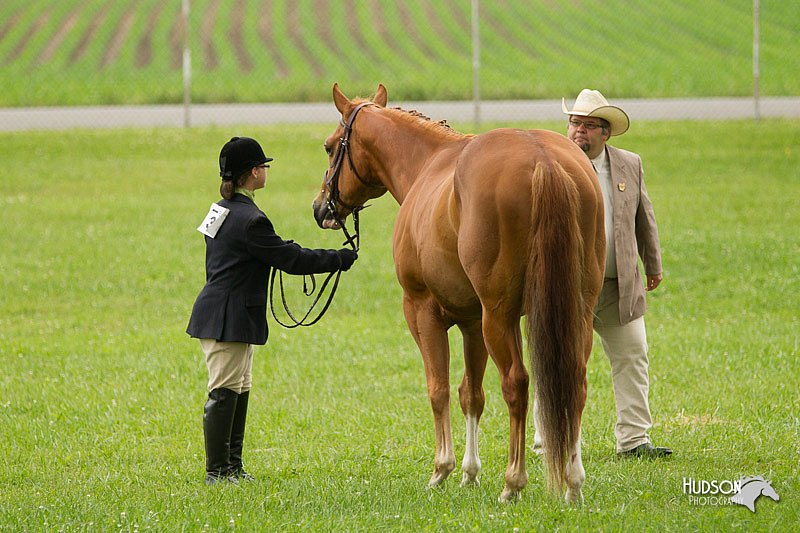 4H-1st-Show-11_0736.jpg