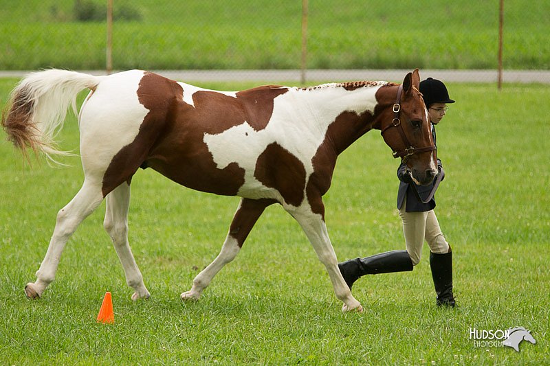 4H-1st-Show-11_0737.jpg