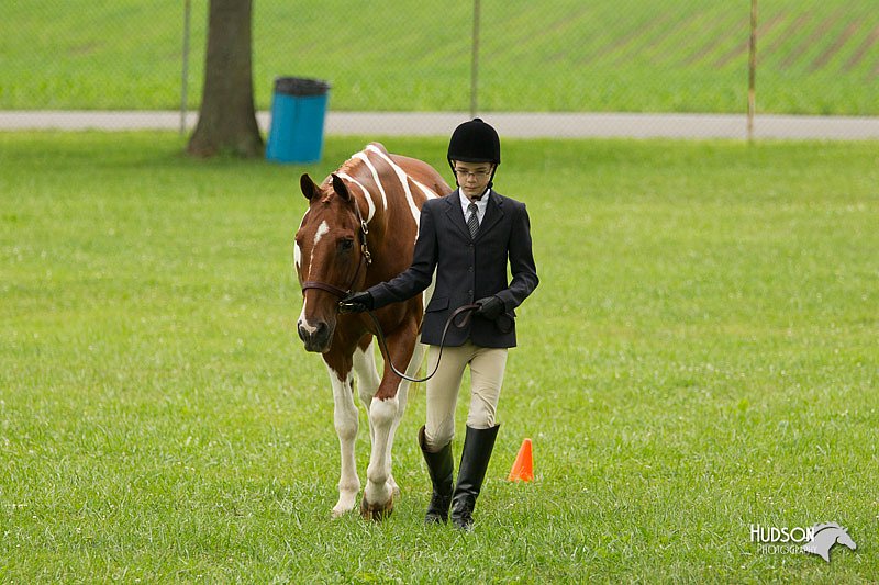 4H-1st-Show-11_0740.jpg