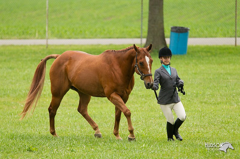 4H-1st-Show-11_0744.jpg